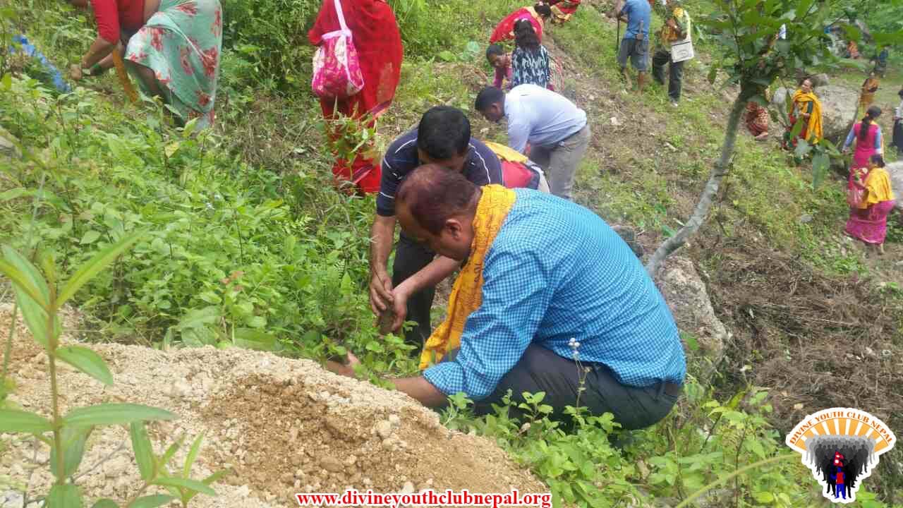 Tree-Plantation-Temple-Cleaning-Program-2074
