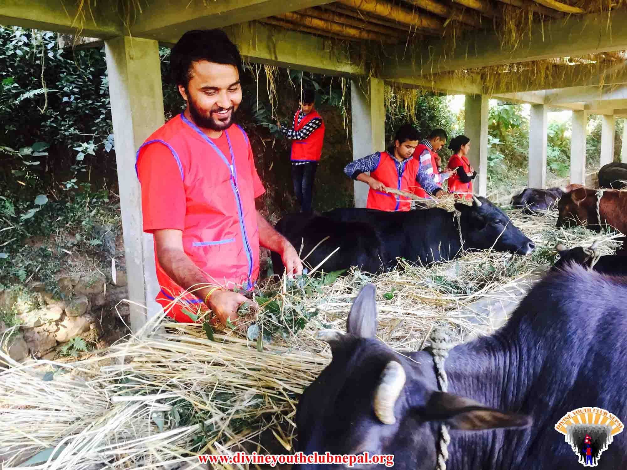 Gau-Sewa-Waling-Syangja-2074-5