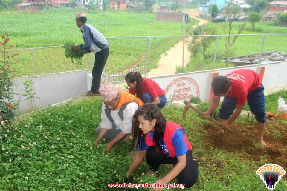 Temple-cleaning-Flower-plantation-2075-6