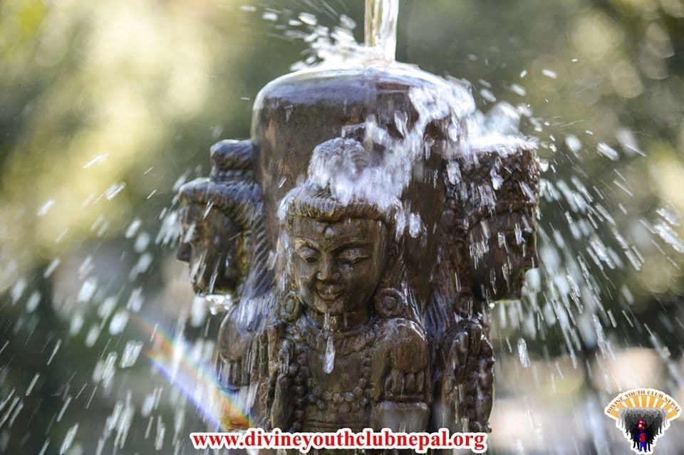Cleaning-Sewa-at-Kripalu-Udhyan-2076