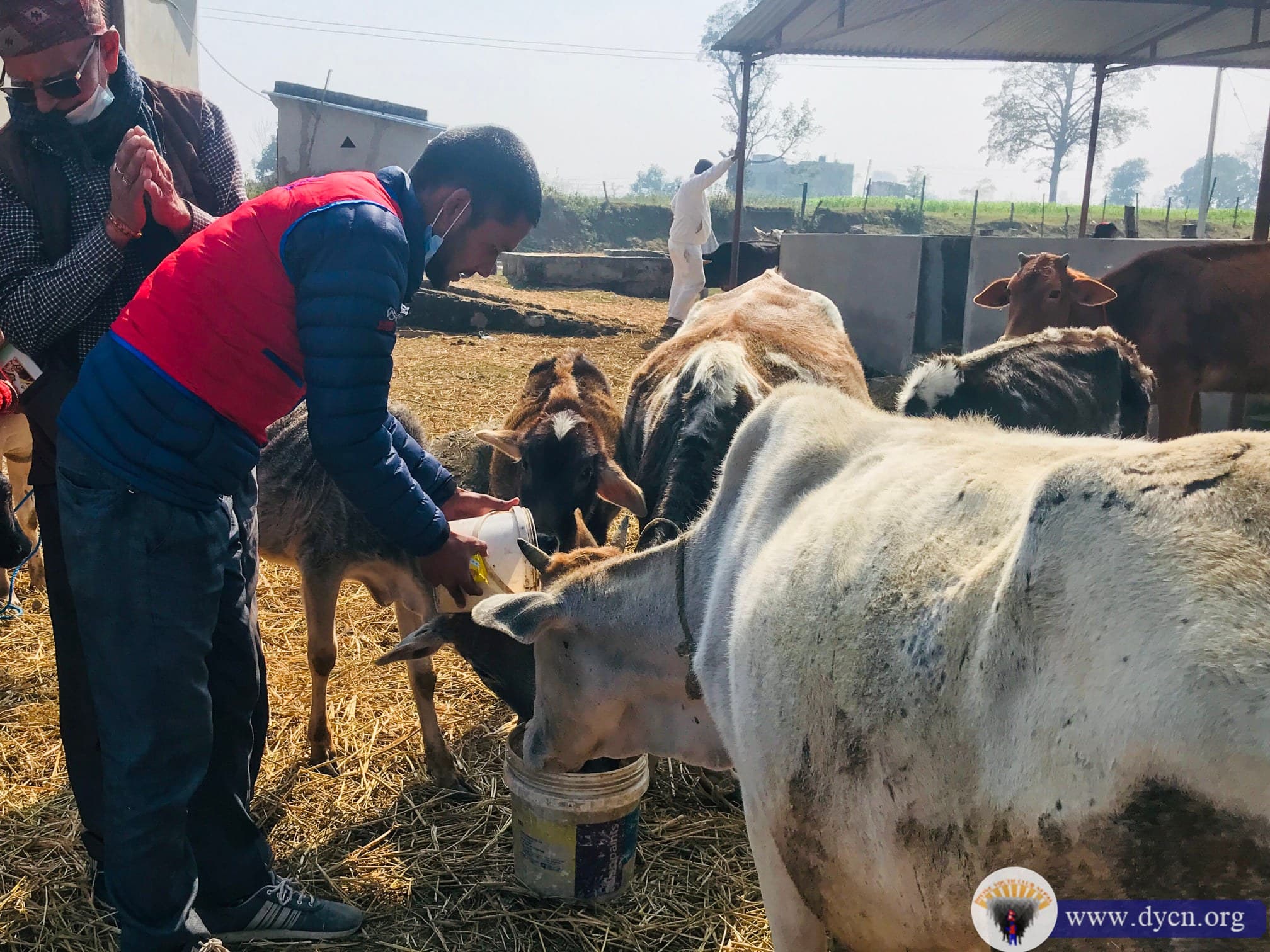 Gau-Sewa program at Kailali 2078(1)